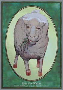 Sheep Token - Unglued (Token)