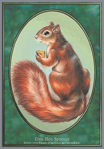 Squirrel Token (Green 1/1) - Unglued (Token)