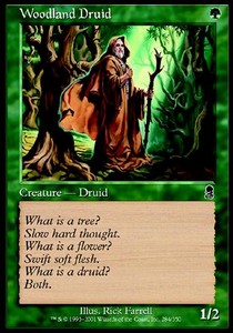Woodland Druid - Odyssey (Common) [ODY-284]