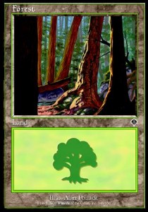Forest (V.2)