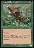 Pygmy Razorback - Prophecy (Common) [PCY-120]