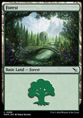 Forest (V.2) - Murders at Karlov Manor (Land) [MKM-285]