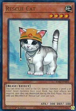 Rescue Cat (V.3 - Ultra Rare) - 25th Anniversary Rarity Collection II (Ultra Rare) [RA02-001]
