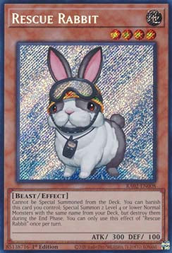 Rescue Rabbit (V.3 - Secret Rare) - 25th Anniversary Rarity Collection II (Secret Rare) [RA02-008]