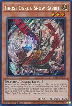 Ghost Ogre & Snow Rabbit (V.3 - Secret Rare) - 25th Anniversary Rarity Collection II (Secret Rare) [RA02-009]