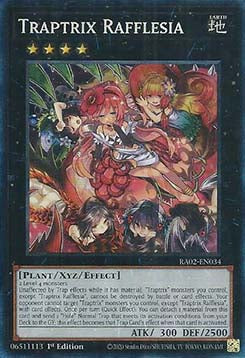 Traptrix Rafflesia (V.6 - Collectors Rare) - 25th Anniversary Rarity Collection II (Collectors Rare) [RA02-034]