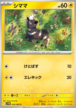 Blitzle - White Flare JP (Common) [sv11W-028]