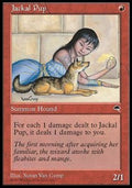 Jackal Pup - Tempest (Uncommon)